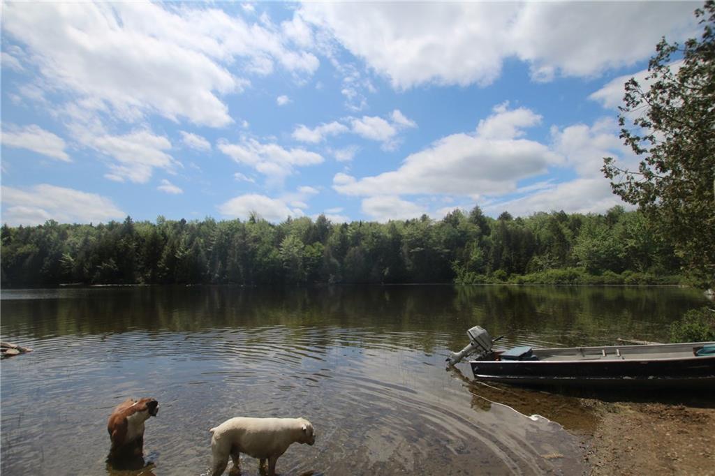Lot 405 Deer Haven Road Wesley, ME 04686 - Photo 13 of 13 Take a little swim