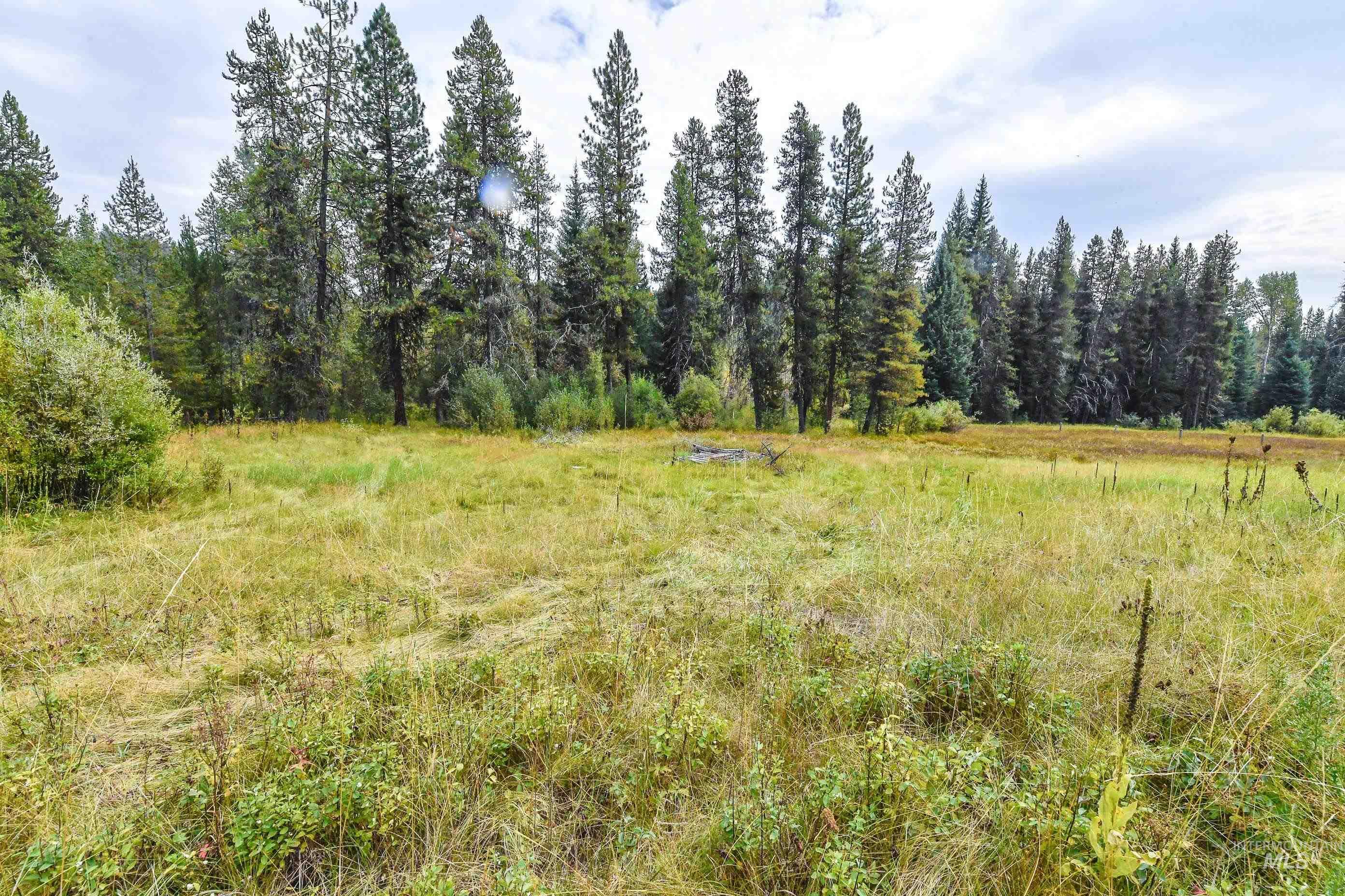 14096 Morell Road McCall, ID 83638 - Photo 25 of 48