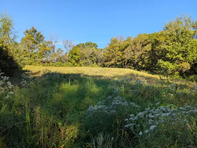 a view of lake with green space