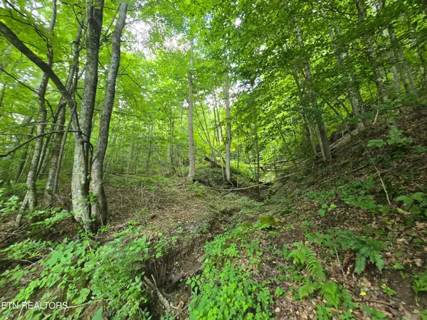 $49,900 | 0 Left Poor Valley Road, Pennington Gap, VA 24277