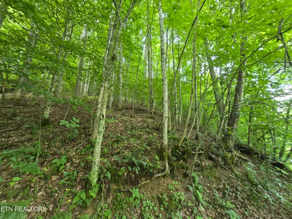 $49,900 | 0 Left Poor Valley Road, Pennington Gap, VA 24277