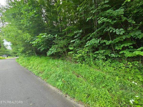 $49,900 | 0 Left Poor Valley Road, Pennington Gap, VA 24277