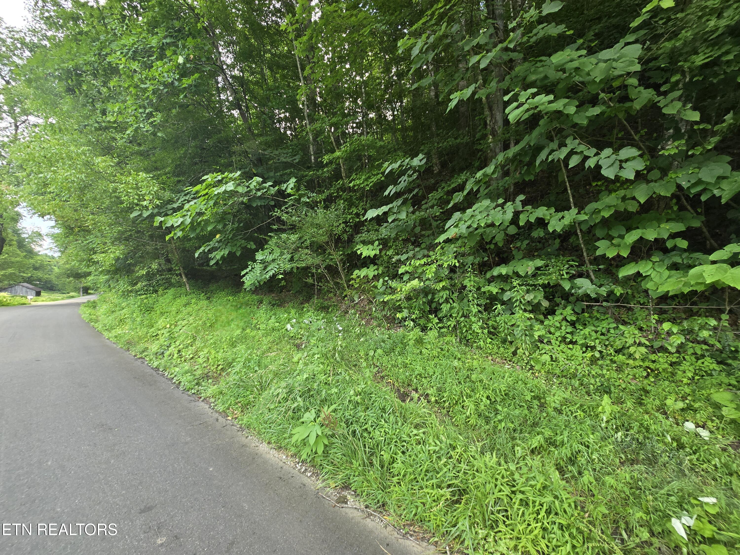0 Left Poor Valley Road Pennington Gap, VA 24277 - Photo 12 of 13 20250627_181403