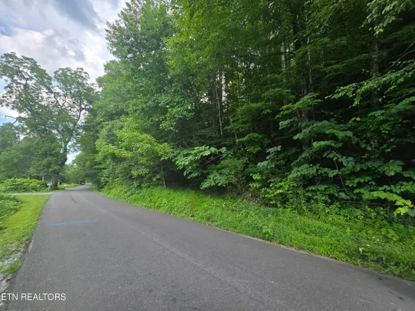 $49,900 | 0 Left Poor Valley Road, Pennington Gap, VA 24277