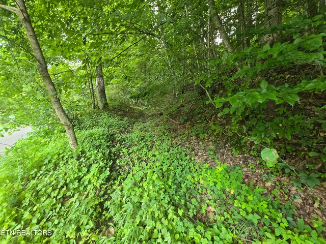 $49,900 | 0 Left Poor Valley Road, Pennington Gap, VA 24277