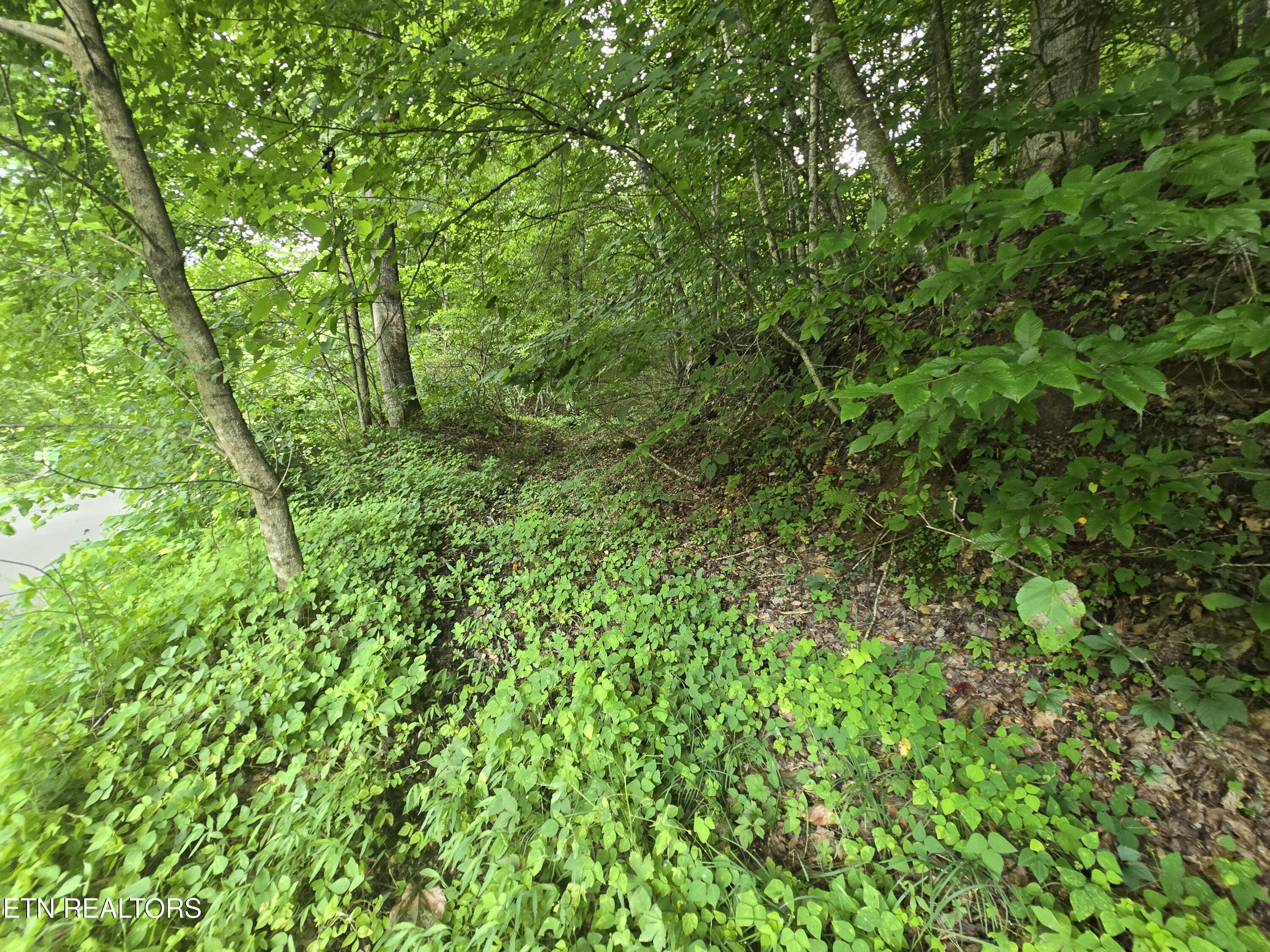0 Left Poor Valley Road Pennington Gap, VA 24277 - Photo 3 of 13 20250627_181419