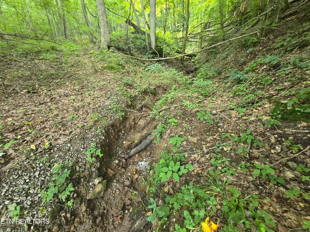 $49,900 | 0 Left Poor Valley Road, Pennington Gap, VA 24277