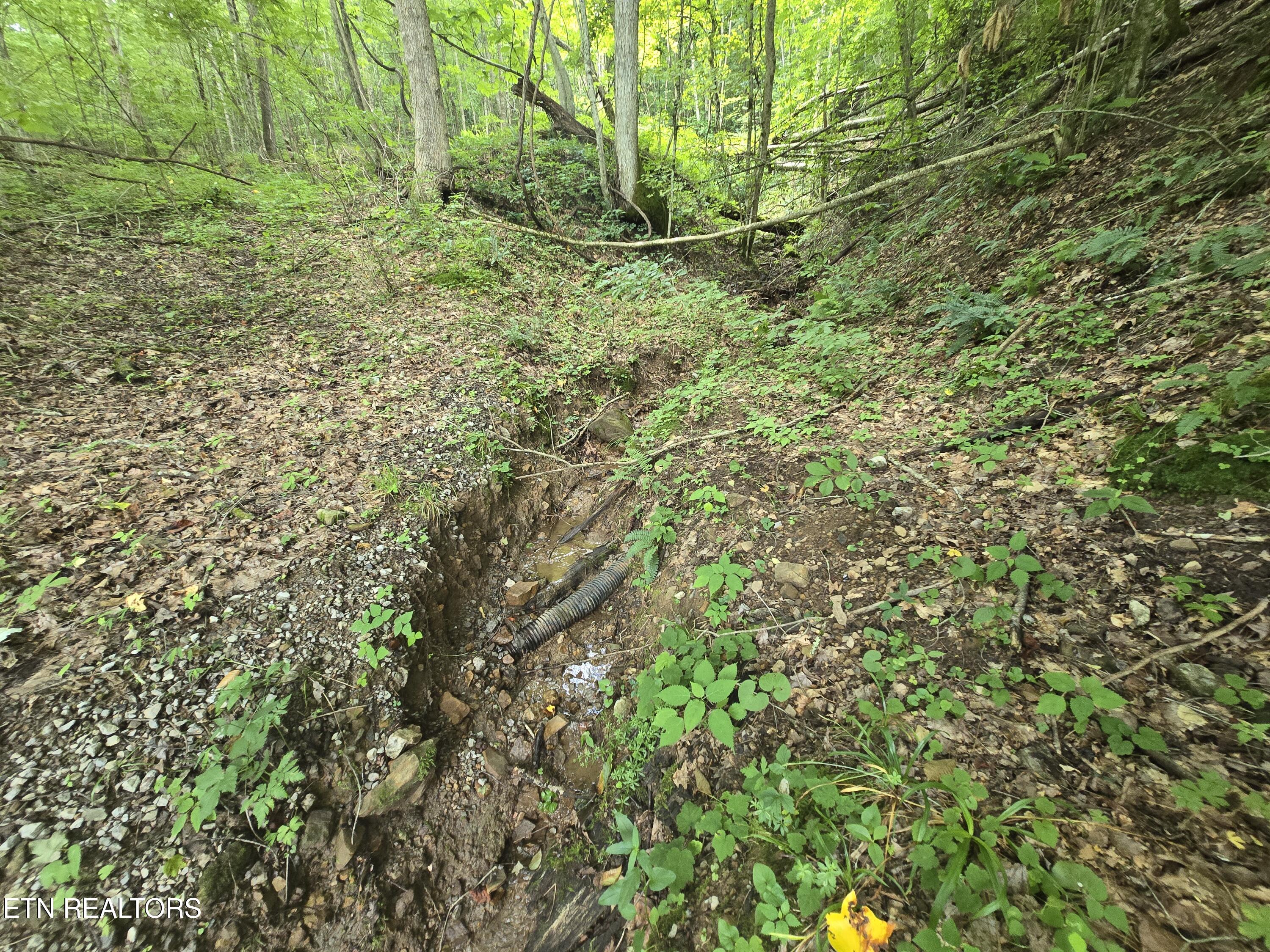 0 Left Poor Valley Road Pennington Gap, VA 24277 - Photo 4 of 13 20250627_181522