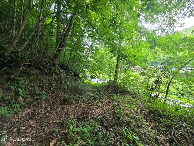 $49,900 | 0 Left Poor Valley Road, Pennington Gap, VA 24277