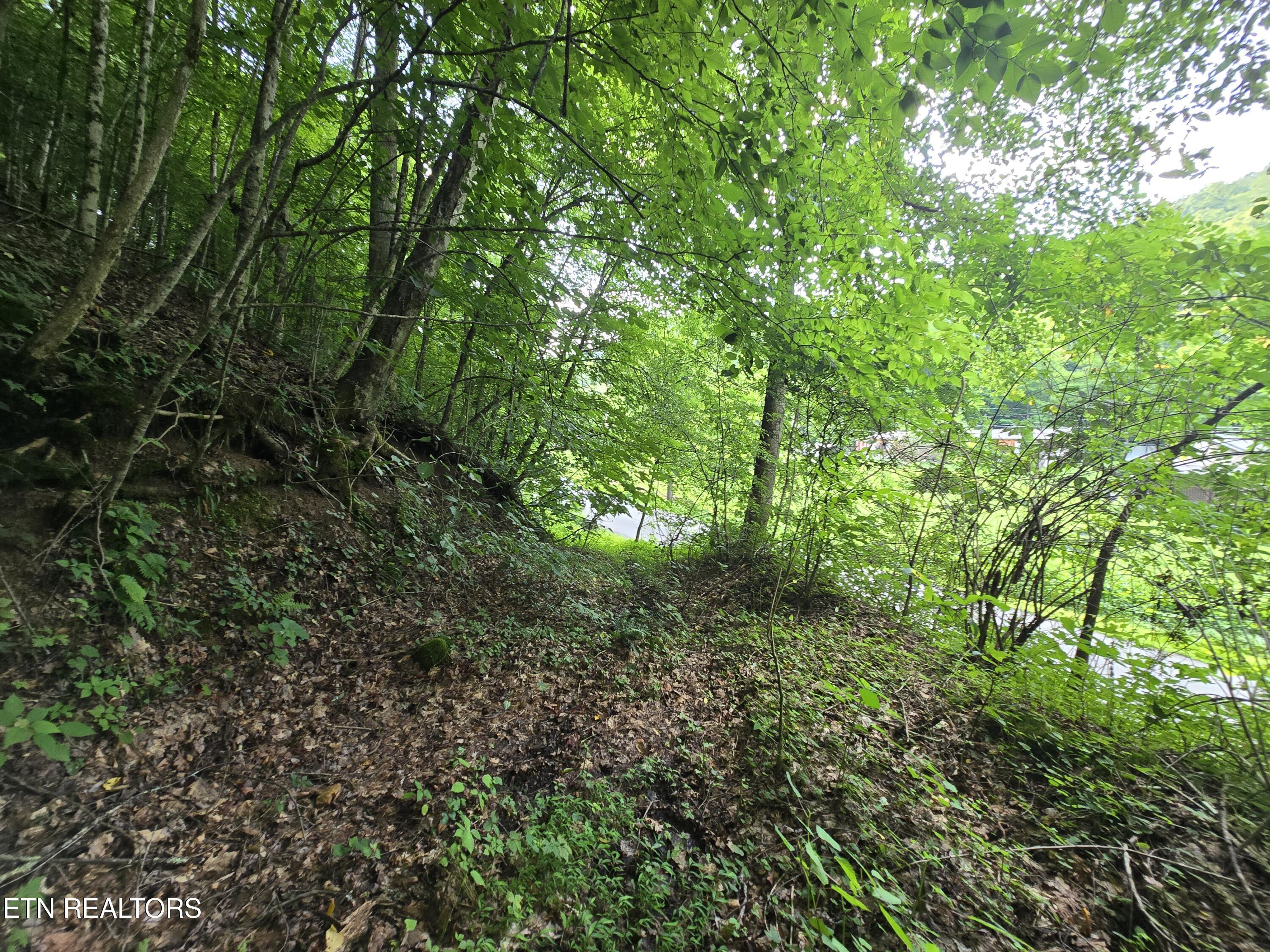 0 Left Poor Valley Road Pennington Gap, VA 24277 - Photo 5 of 13 20250627_181500