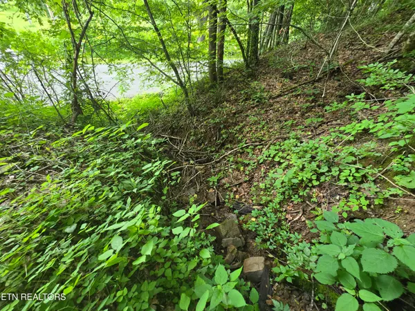 $49,900 | 0 Left Poor Valley Road, Pennington Gap, VA 24277