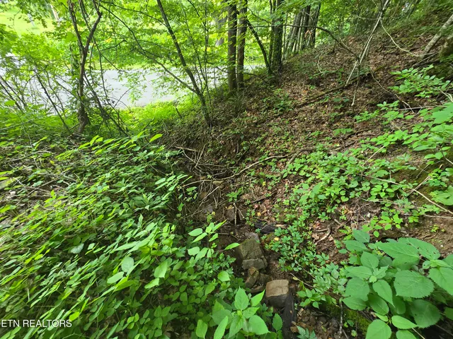 $49,900 | 0 Left Poor Valley Road, Pennington Gap, VA 24277