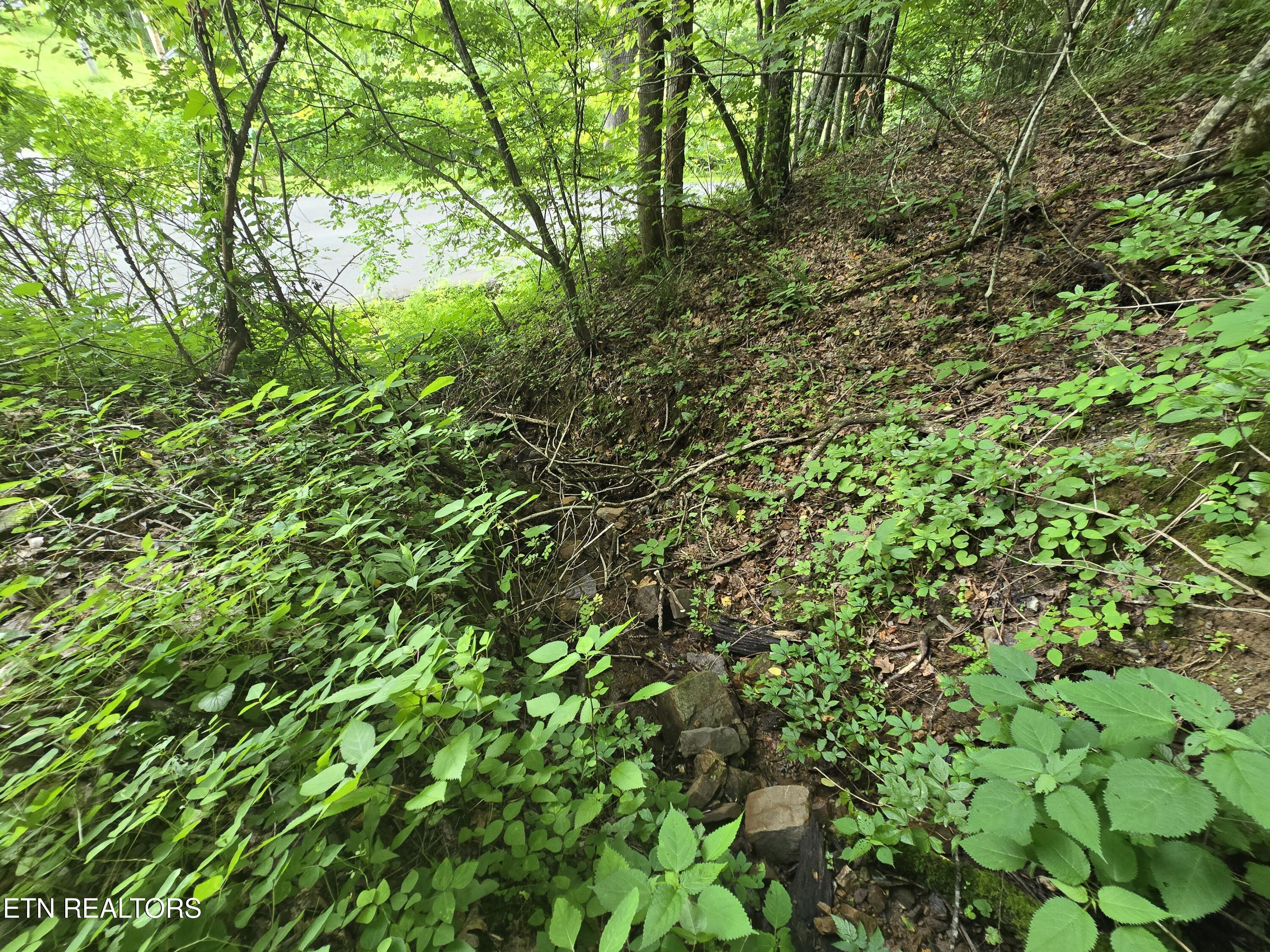 0 Left Poor Valley Road Pennington Gap, VA 24277 - Photo 7 of 13 20250627_181454