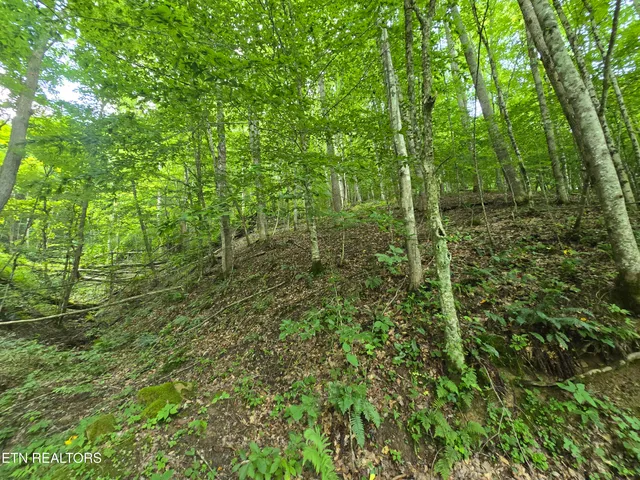 $49,900 | 0 Left Poor Valley Road, Pennington Gap, VA 24277