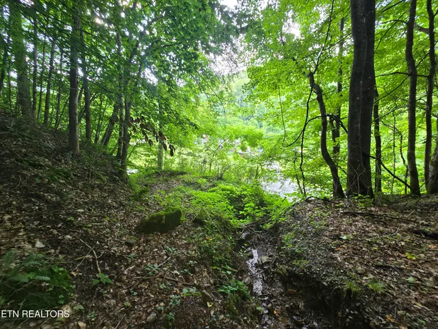 $49,900 | 0 Left Poor Valley Road, Pennington Gap, VA 24277