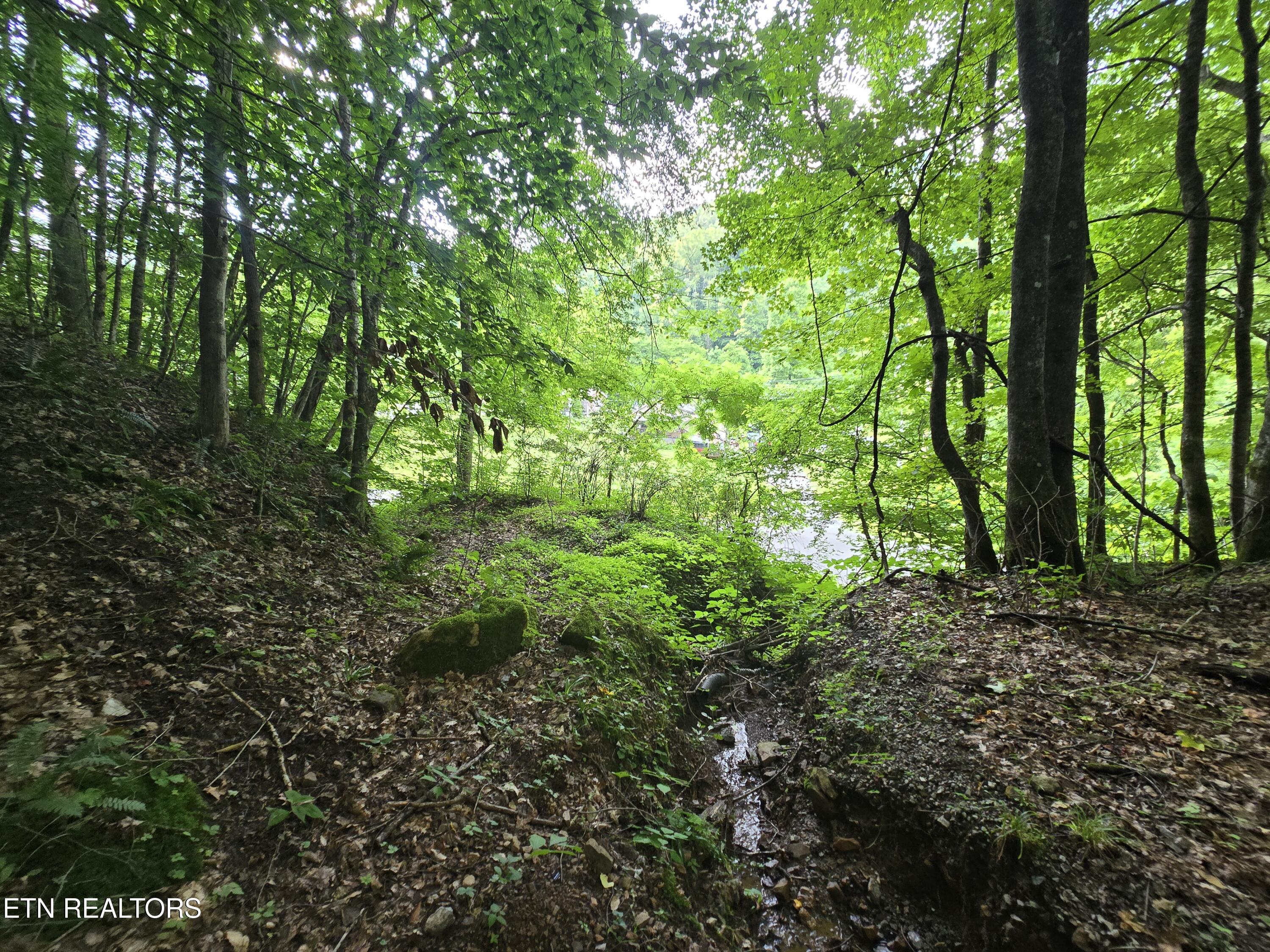 0 Left Poor Valley Road Pennington Gap, VA 24277 - Photo 9 of 13 20250627_181533