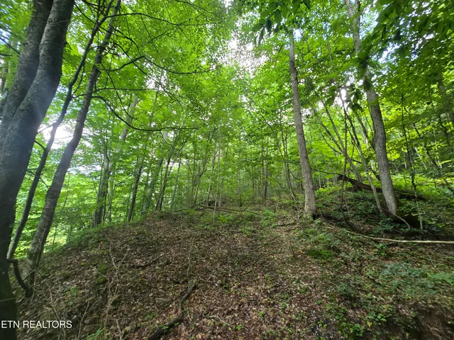 $49,900 | 0 Left Poor Valley Road, Pennington Gap, VA 24277