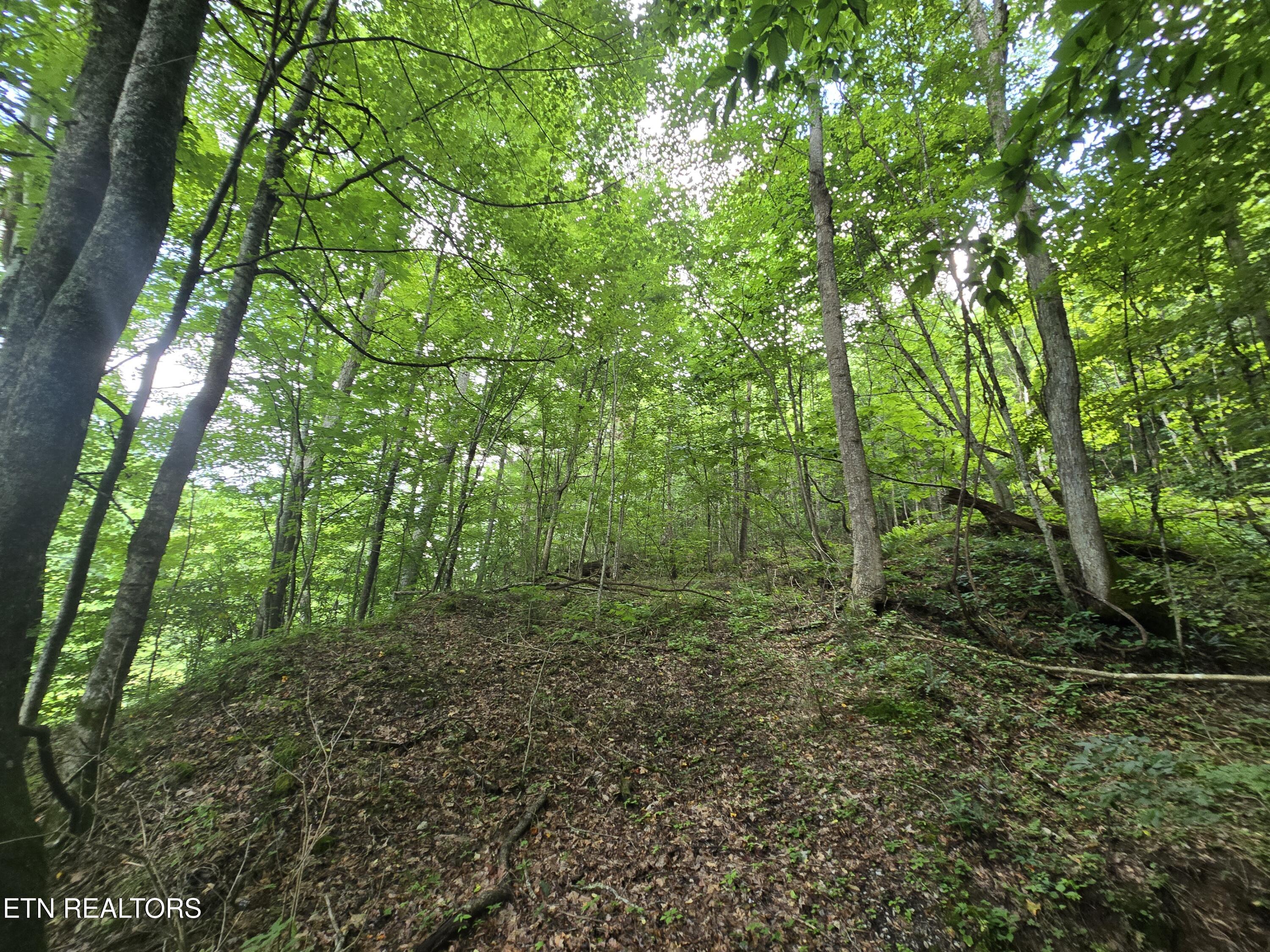 0 Left Poor Valley Road Pennington Gap, VA 24277 - Photo 10 of 13 20250627_181513