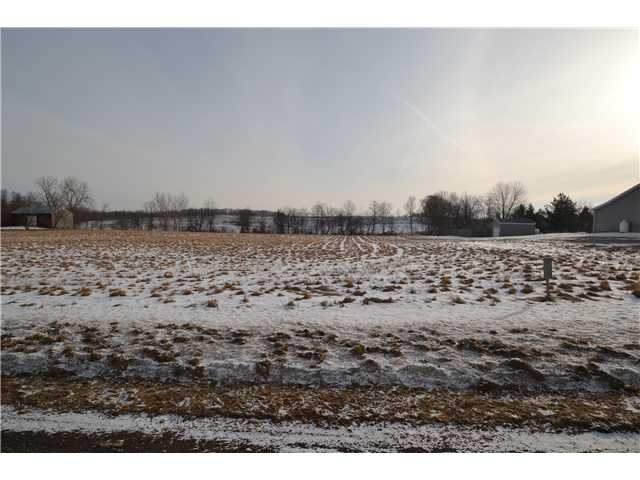 North Lot Johnson Road Palmyra, NY 14522 - Photo 1 of 1 Land. Johnson Road lot, facing east from road.