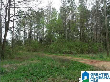 285 County Road, Unit 7 26 Five Points, AL 36855 - Photo 3 of 3
