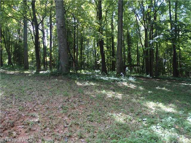600 Alpine Road Winston-Salem, NC 27104 - Photo 15 of 15 Land/Lot.