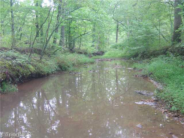 0 Ward Road Sandy Ridge, NC 27046 - Photo 1 of 3 Other.