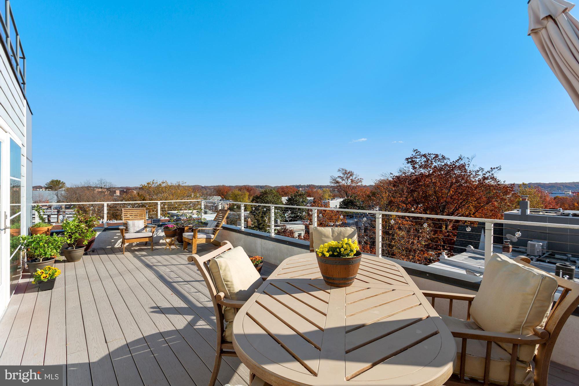 401 15th Street Southeast, Unit 403 Washington, DC 20003 - Photo 4 of 31 Roof Deck