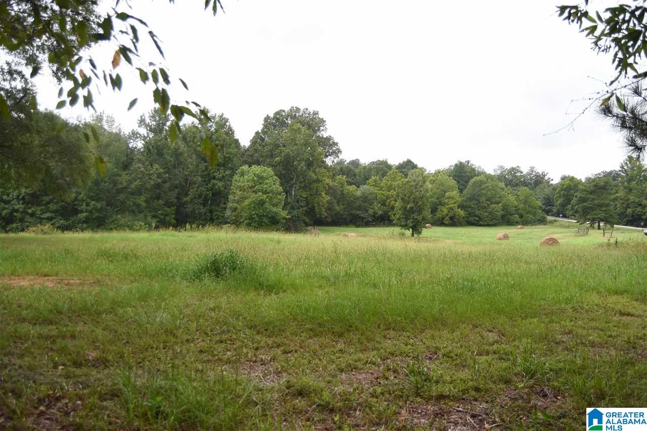 3526 Post Oak Road Jacksonville, AL 36265 - Photo 4 of 45