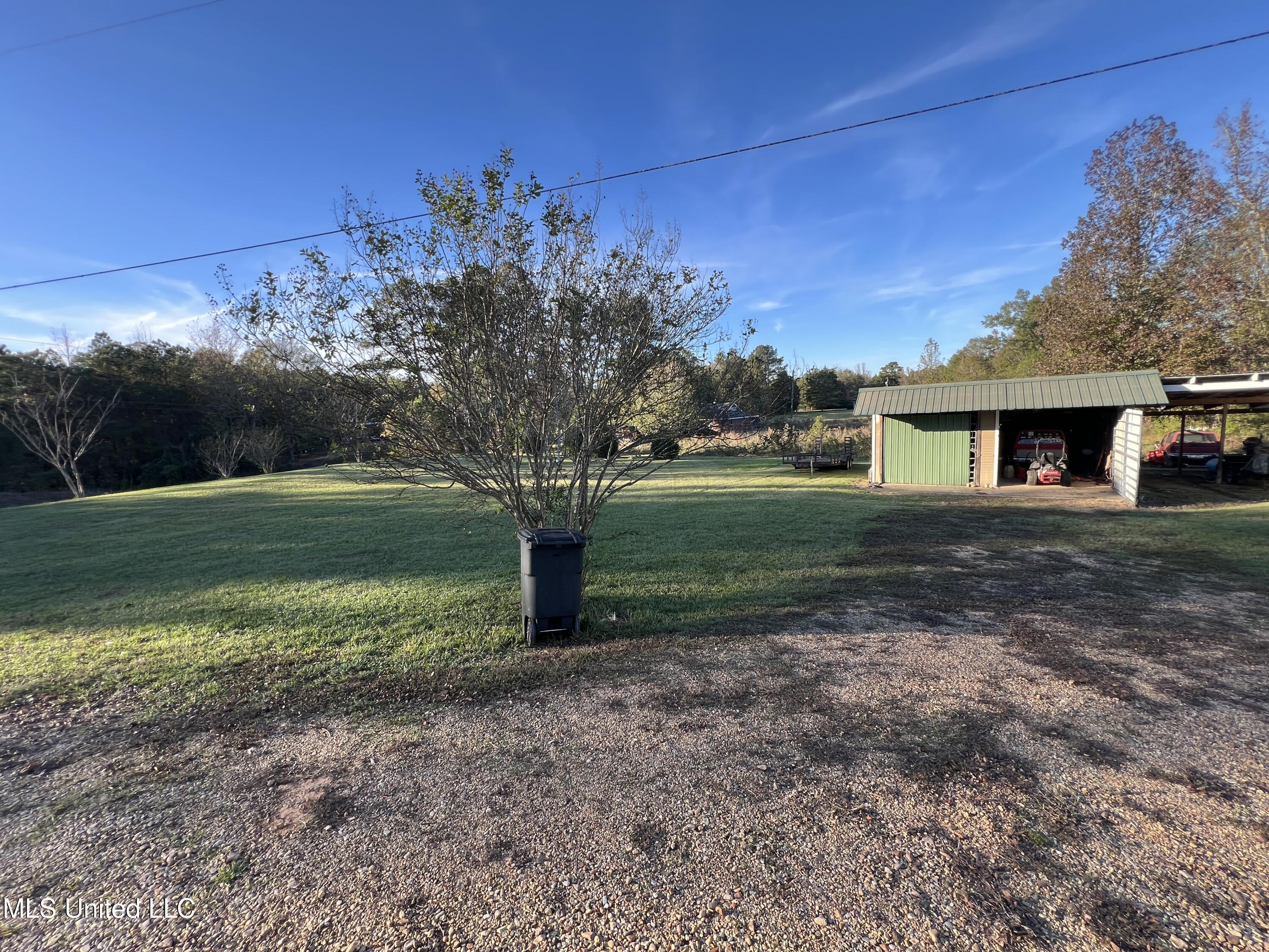 2220 McCullough Road Louisville, MS 39339 - Photo 18 of 24 Side Yard