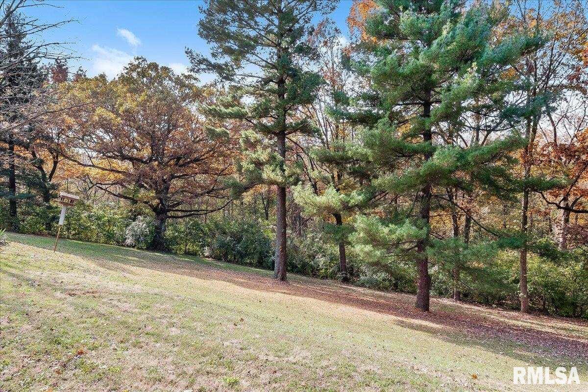 7 Natick Circle Rochester, IL 62563 - Photo 41 of 41