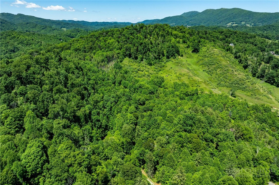 Smith Street Vilas, NC 28692 - Photo 20 of 36