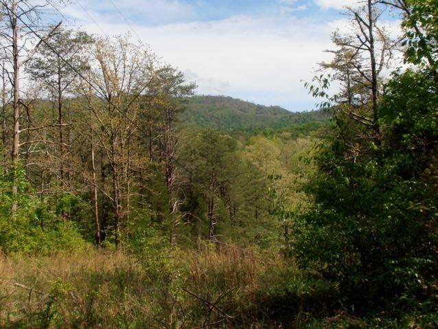 4731 Gribble Road Maryville, TN 37803 - Photo 16 of 21 P4300030