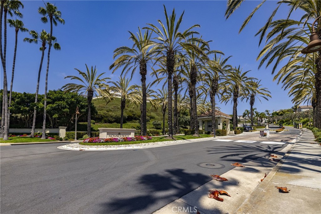 39 Marbella Dana Point, CA 92629 - Photo 54 of 58