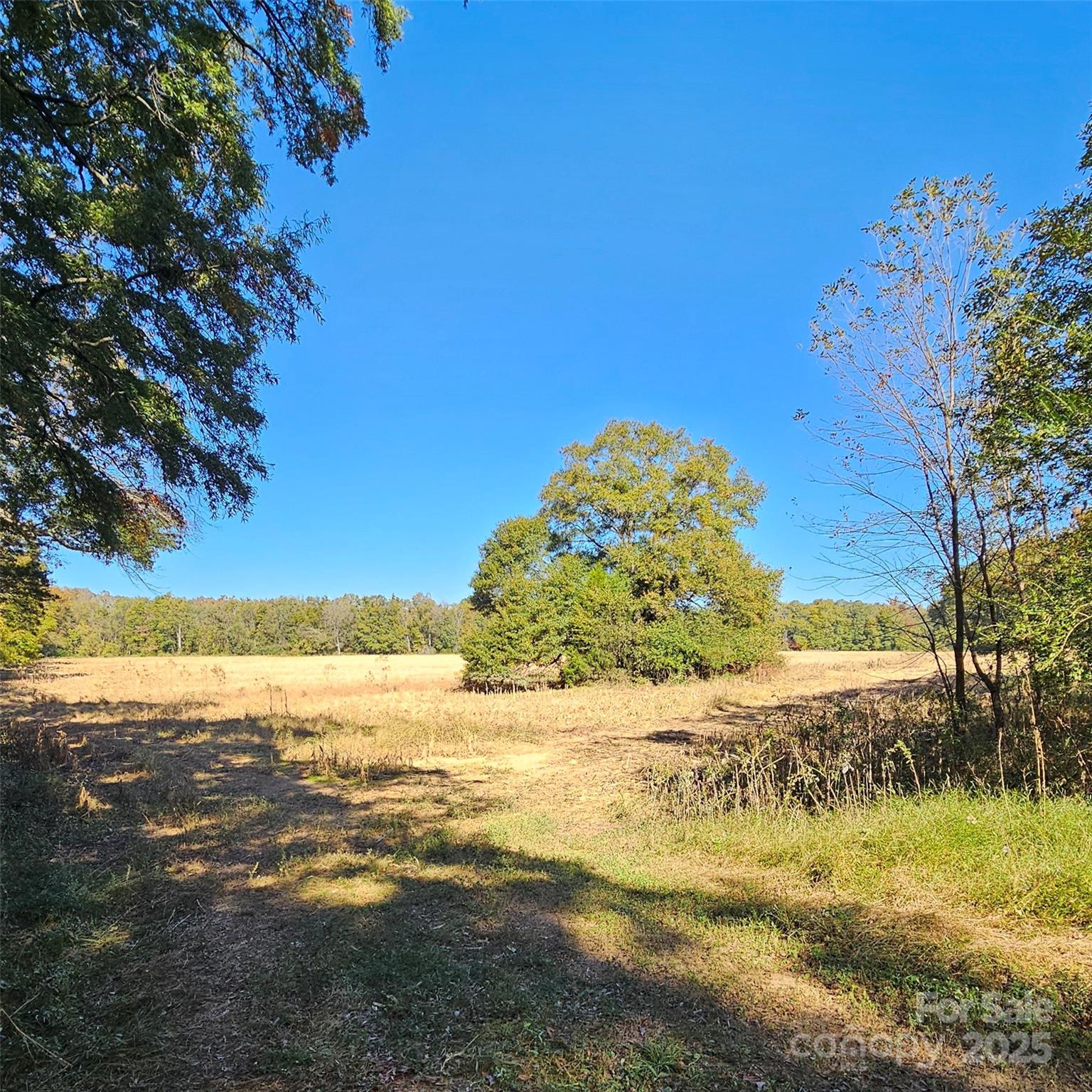 10130 Reed Mine Road Midland, NC 28107 - Photo 13 of 29