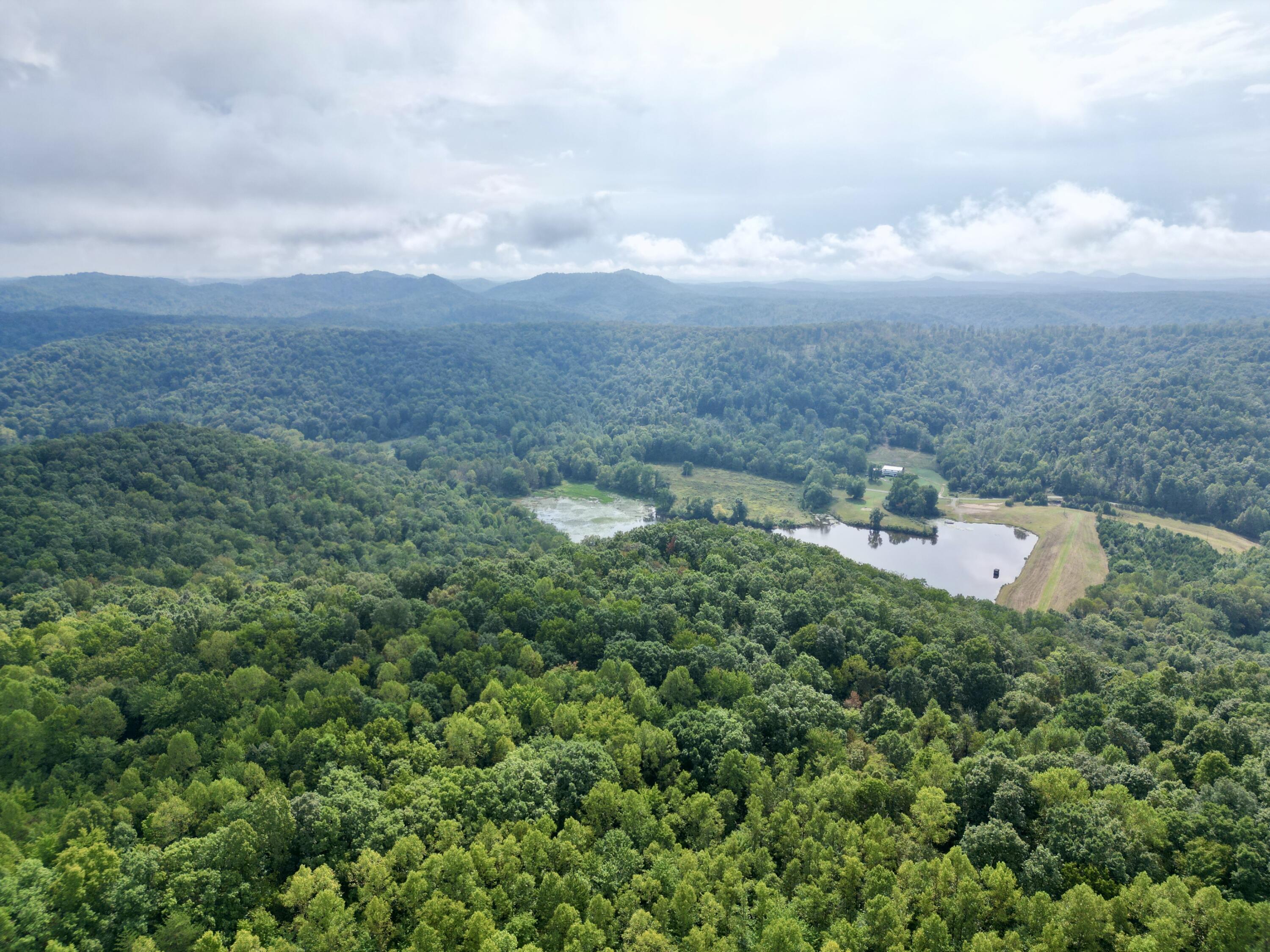 758 Stockton Road Wallingford, KY 41093 - Photo 6 of 90 dji_fly_20260918_094240_770_178975027810