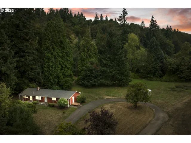 a view of a town with trees in the background