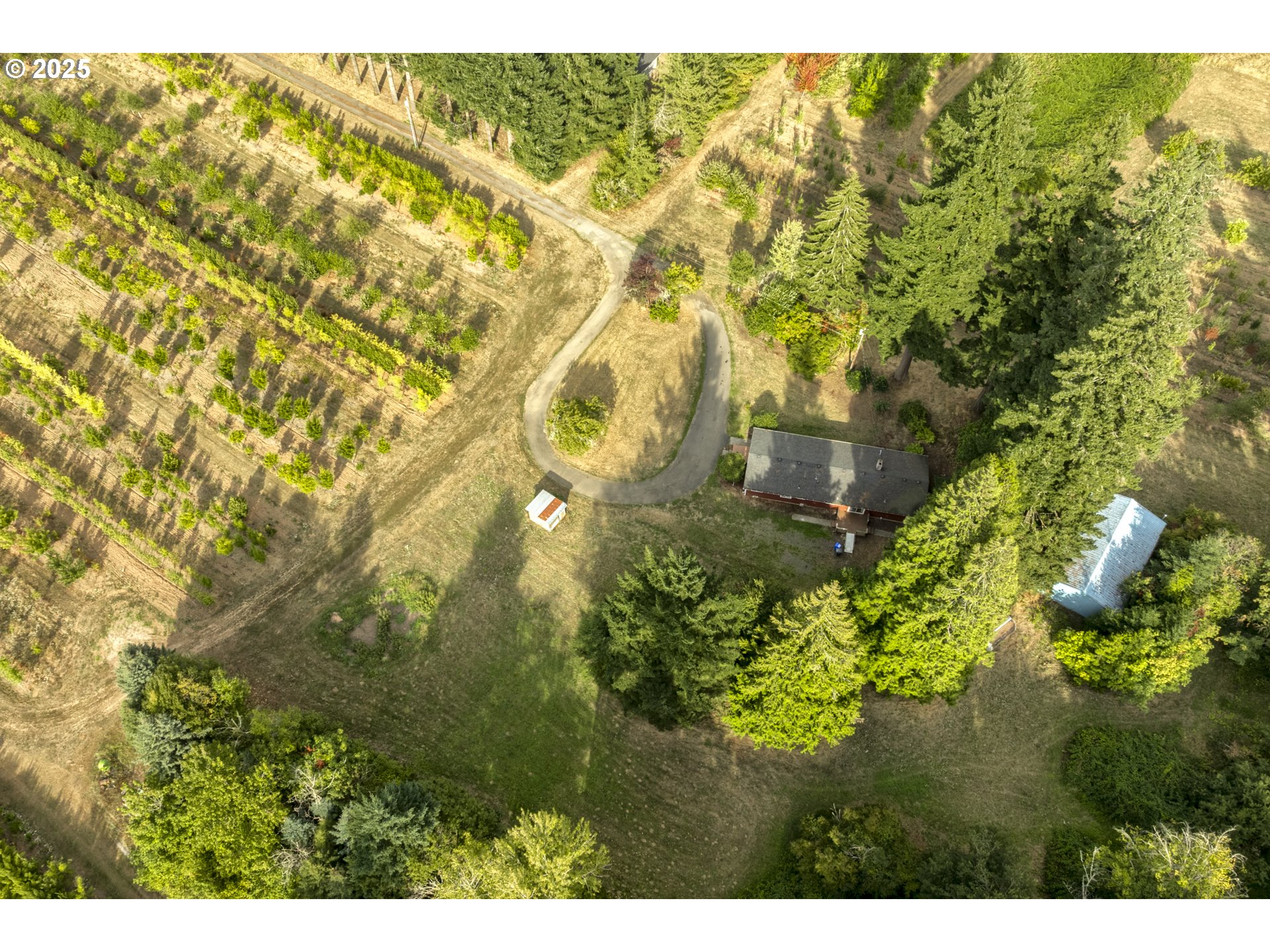 29630 Southeast Wheeler Road Boring, OR 97009 - Photo 15 of 46 a view of a yard with plants