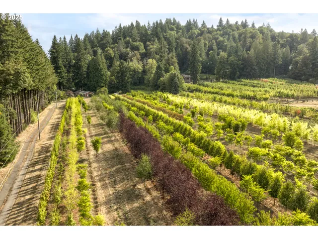 a view of swimming pool
