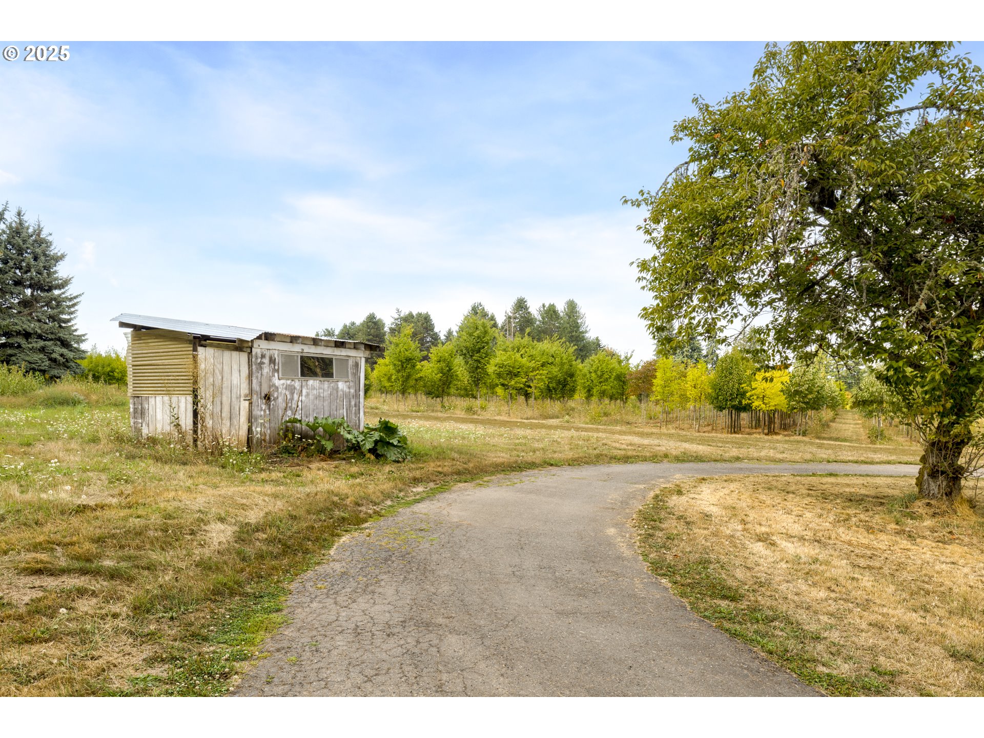 29630 Southeast Wheeler Road Boring, OR 97009 - Photo 30 of 46 a view of a yard with an outdoor space