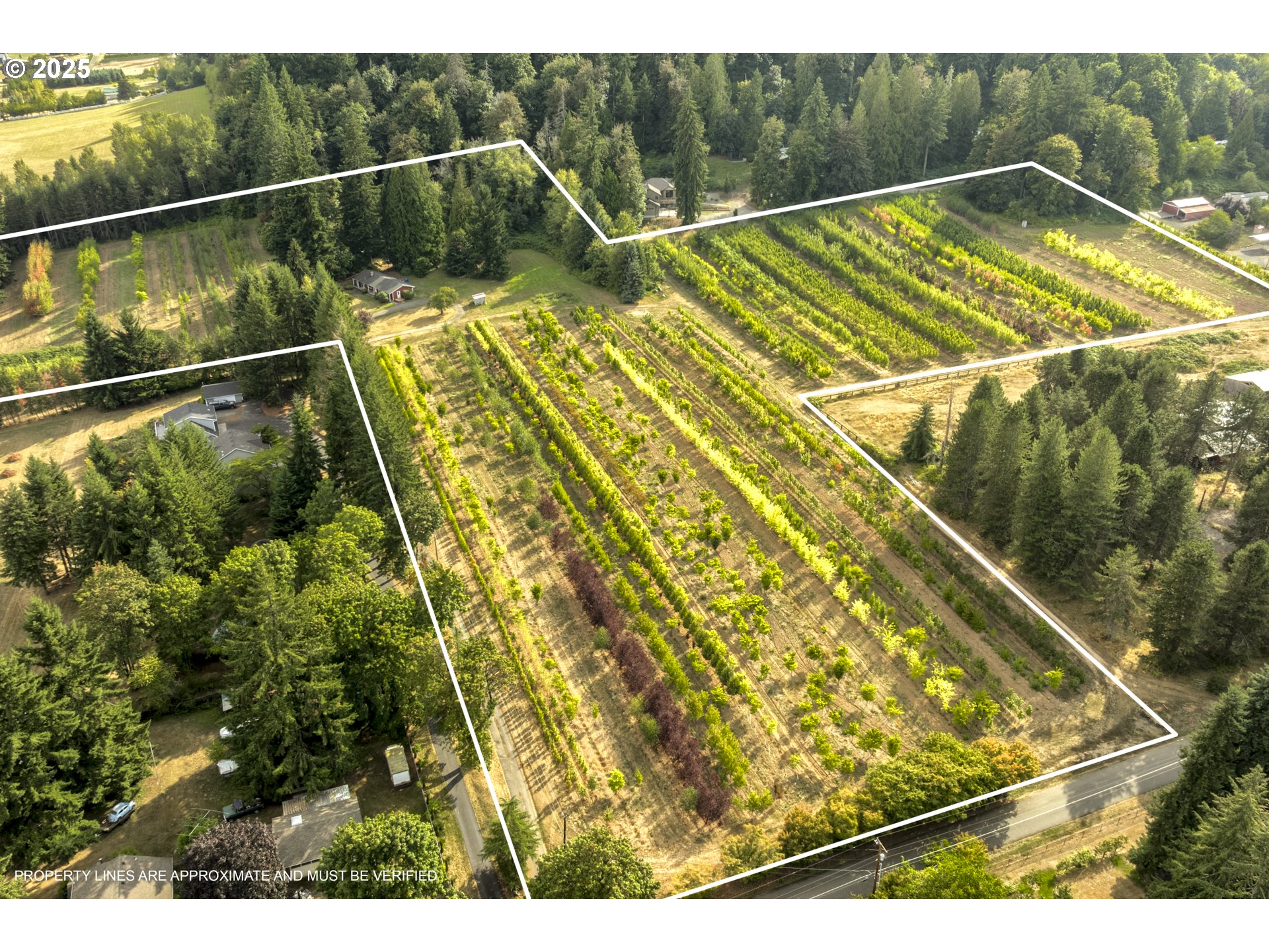 29630 Southeast Wheeler Road Boring, OR 97009 - Photo 5 of 46 a view of a tennis court