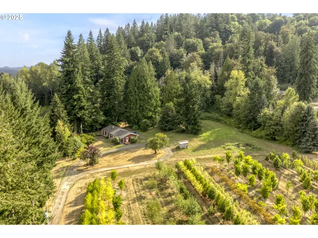 a view of a yard with an outdoor space
