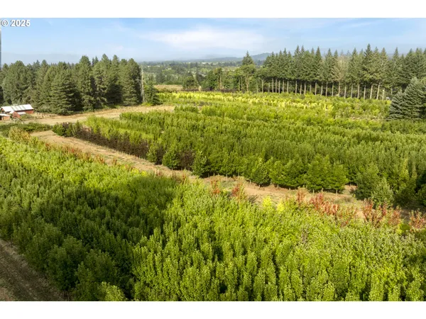 a view of a city and an ocean