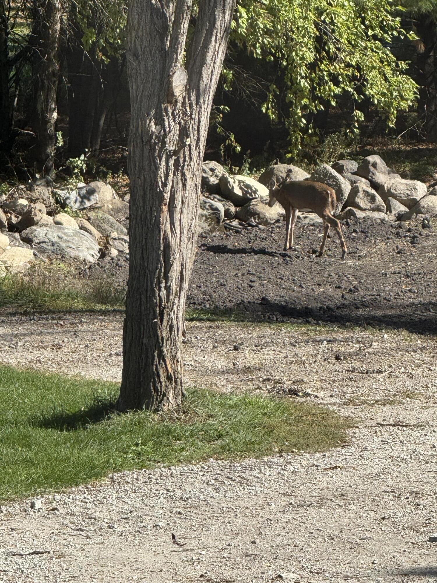 N8538 River Road Watertown, WI 53094 - Photo 40 of 44 Seller Photo