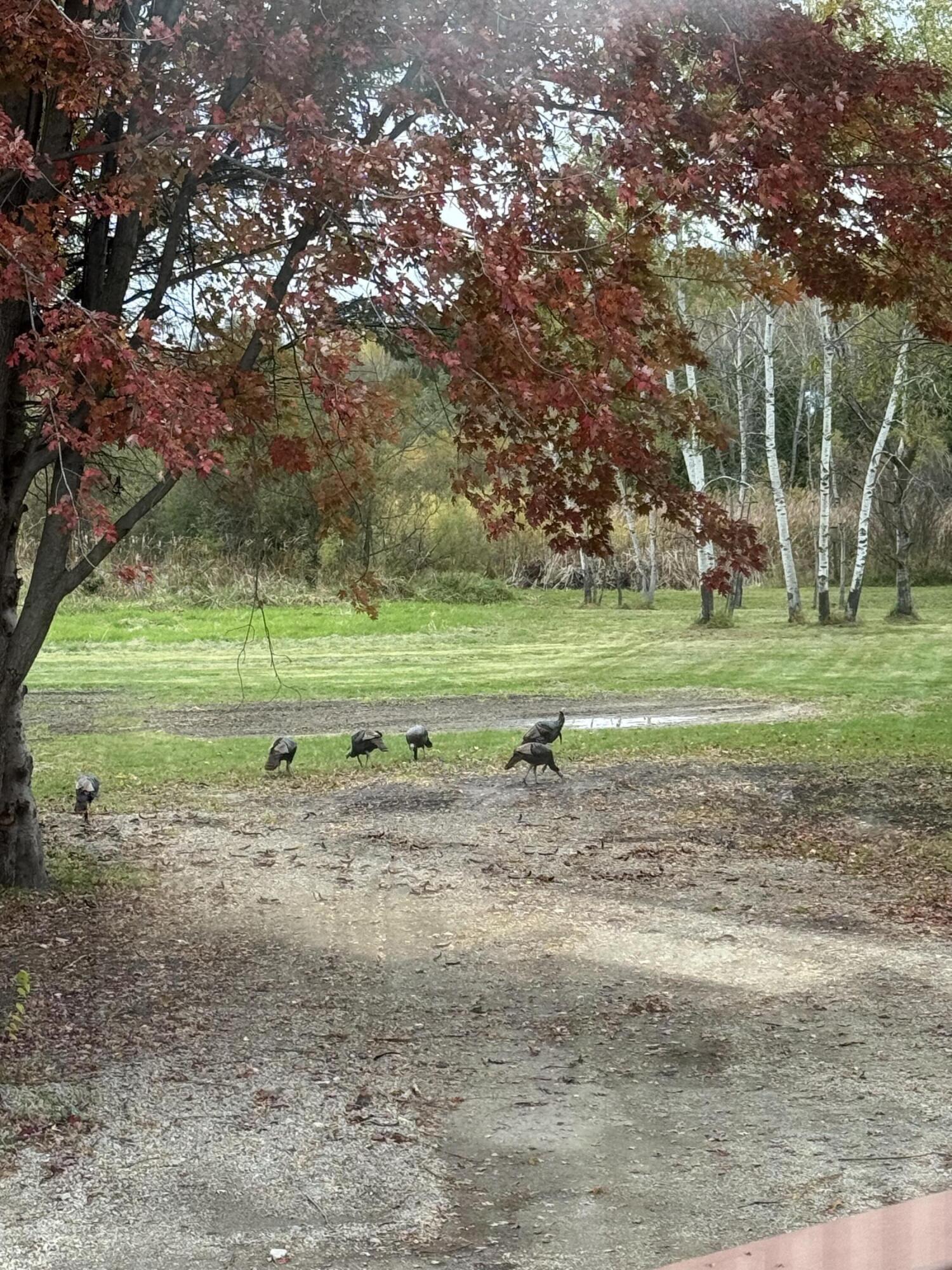 N8538 River Road Watertown, WI 53094 - Photo 41 of 44 Seller Photo