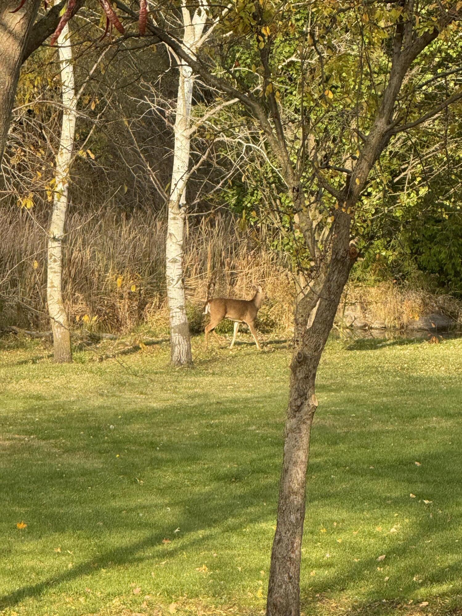 N8538 River Road Watertown, WI 53094 - Photo 42 of 44 Seller Photo