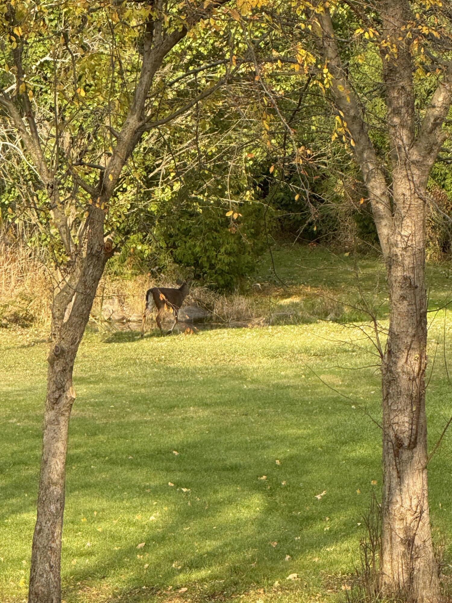 N8538 River Road Watertown, WI 53094 - Photo 43 of 44 Seller Photo