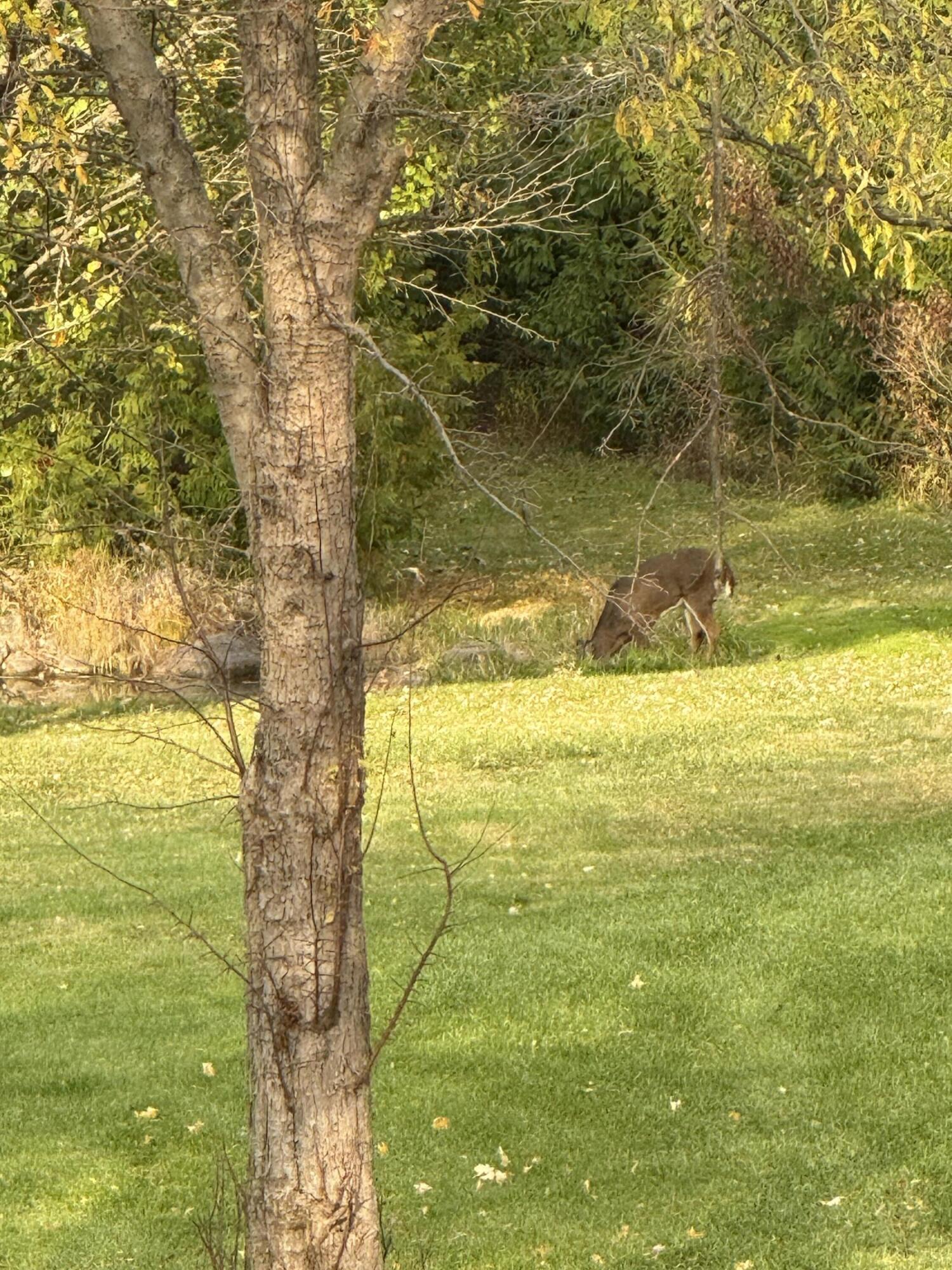 N8538 River Road Watertown, WI 53094 - Photo 44 of 44 Seller Photo