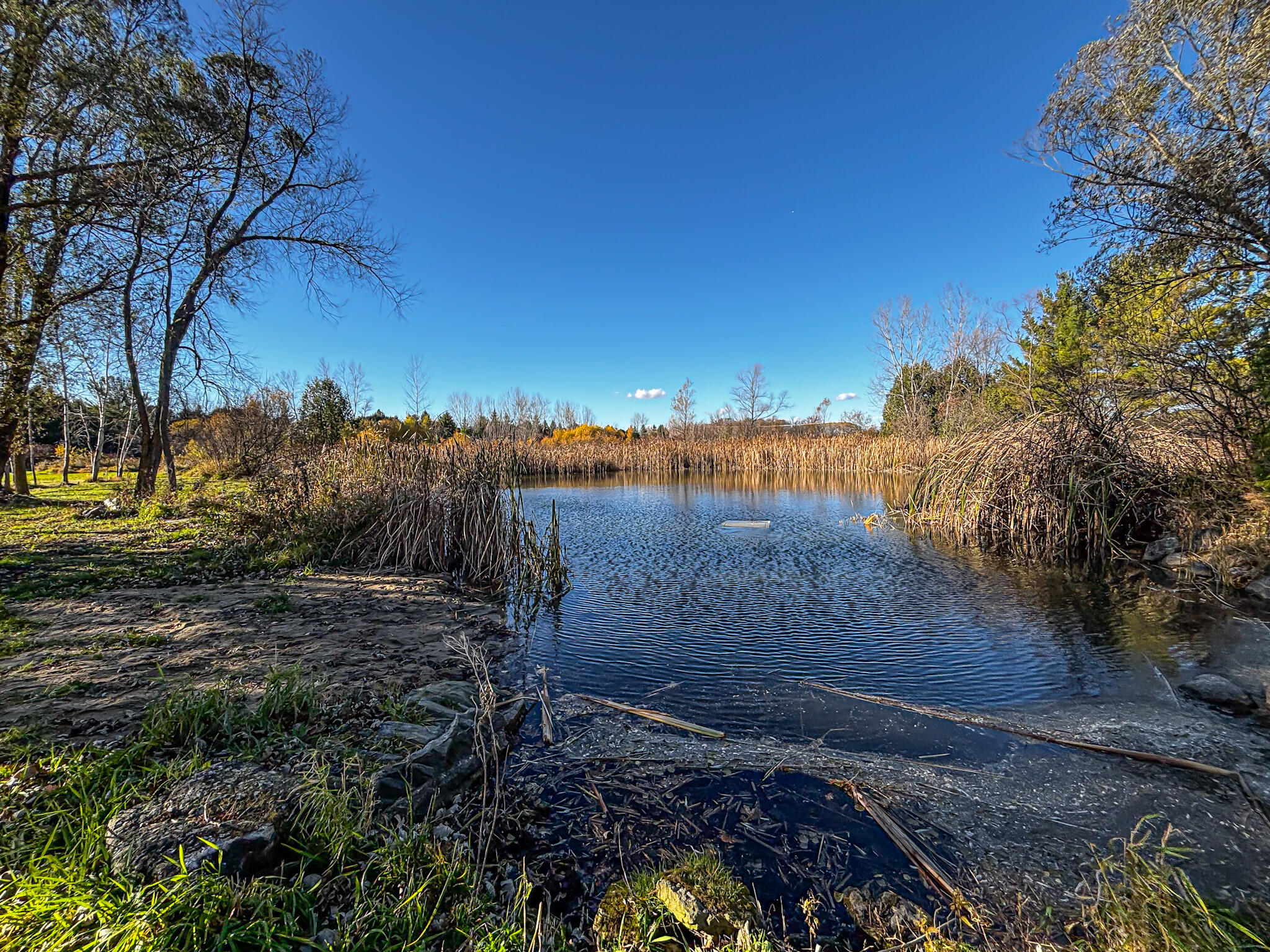 N8538 River Road Watertown, WI 53094 - Photo 9 of 44 Pond