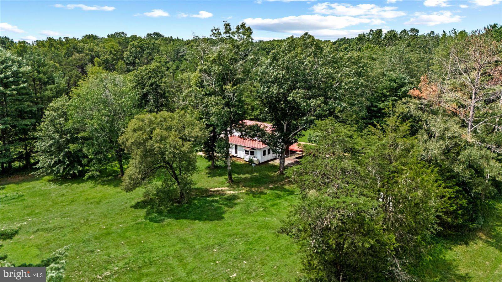 31934 Indiantown Road Locust Grove, VA 22508 - Photo 76 of 84 Serene retreat nestled in lush greenery.