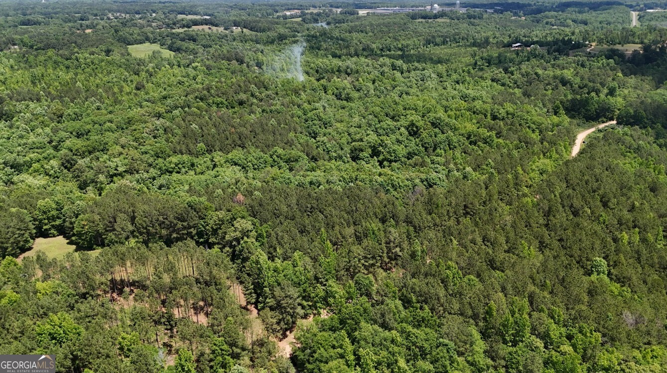 0 Creek Road, Unit LOT 8 Ashland, AL 36251 - Photo 5 of 25
